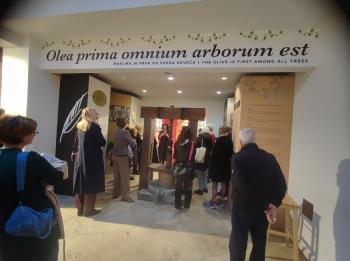 iwk pula kuca maslinovog ulja