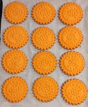 otw IWK osijek trka 4