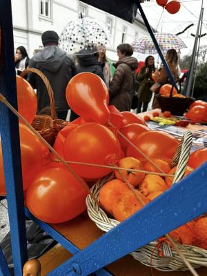 otw IWK cakovec trznica4